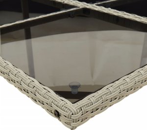 vidaXL 13-cz. zestaw mebli ogrodowych z poduszkami, jasnoszary 8