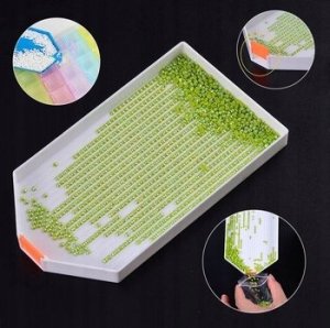 Norimpex Diamentowa Mozaika Piesek W Kwiatach 30x40 4