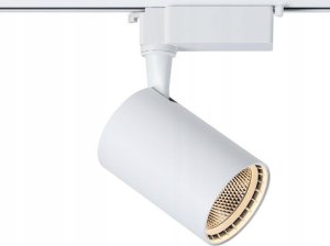 Naświetlacz DPM SPOTLIGHT STR-10W-W 820LM 4000K WHITE 5