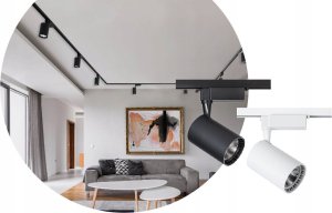 Naświetlacz DPM SPOTLIGHT STR-10W-W 820LM 4000K WHITE 6