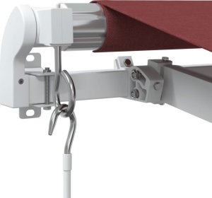 vidaXL vidaXL Ręcznie zwijana markiza, burgundowa, 300x250 cm 7