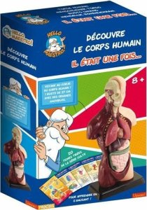 Educa Gra naukowa Educa HELLO MAESTRO Bust Anatomy (FR) 1