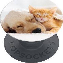 Podstawka PopSockets POPSOCKET Cat & Dog standard 1