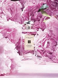 Jo Malone Perfumy Damskie EDC Peony & Blush Suede 100 ml 10