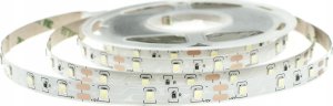 Taśma LED ECOLIGHT2 Eco Light EC79092 taśma LED 24W 4.8W/M LED 5M 4000K 200lm biała 1