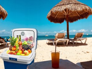 Lodówka turystyczna Blow Lodówka turystyczna samochodowa BLOW 32L 14