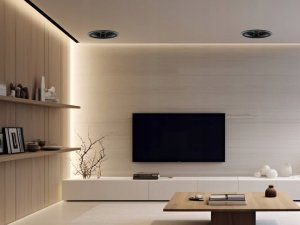 Melodika Melodika BLI6A (BLI 6A) kierunkowy gĹoĹnik instalacyjny Ĺcienny / sufitowy okrÄgĹy do zabudowy, pochylony 15Â° - 1 szt 7