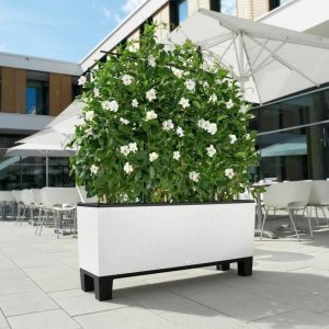 Lechuza Doniczka Lechuza 32 x 100 x 34 cm Biały Plastikowy Prostokątny 1