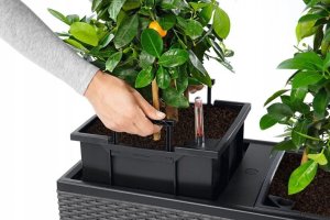 Lechuza Doniczka Lechuza 32 x 100 x 34 cm Biały Plastikowy Prostokątny 11