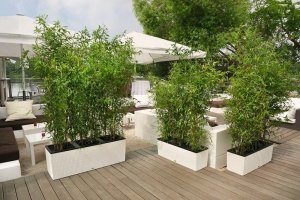 Lechuza Doniczka Lechuza 32 x 100 x 34 cm Biały Plastikowy Prostokątny 12