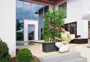 Lechuza Doniczka Lechuza 32 x 100 x 34 cm Biały Plastikowy Prostokątny 13