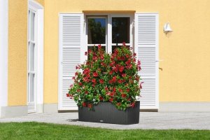 Lechuza Doniczka Lechuza 32 x 100 x 34 cm Biały Plastikowy Prostokątny 15