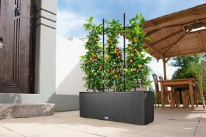 Lechuza Doniczka Lechuza 32 x 100 x 34 cm Biały Plastikowy Prostokątny 16