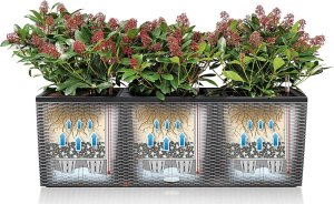 Lechuza Doniczka Lechuza 32 x 100 x 34 cm Biały Plastikowy Prostokątny 4