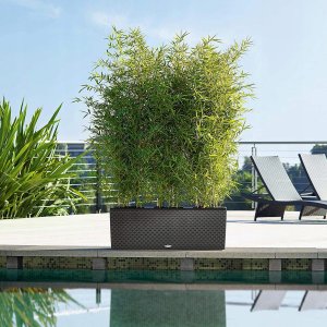 Lechuza Doniczka Lechuza 32 x 100 x 34 cm Biały Plastikowy Prostokątny 6