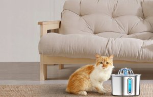 Oneisall Fontanna / Poidło ze stali nierdzewnej dla psa i kota Oneisall 2