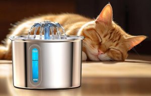 Oneisall Fontanna / Poidło ze stali nierdzewnej dla psa i kota Oneisall 6