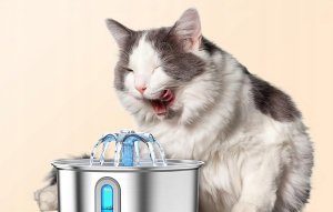 Oneisall Fontanna / Poidło ze stali nierdzewnej dla psa i kota Oneisall 7