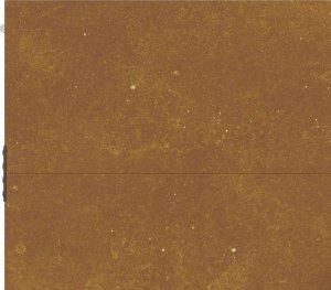 vidaXL Furtka ogrodowa, 105x205 cm, stal kortenowska, motyw drzewa 19