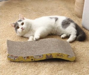 PrzydaSie Drapak Dla Kota Kotów Poziomy Leżak Kocimiętka + Zabawka Wędka Gratis 6