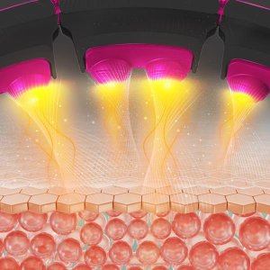 HMS ZESTAW HULA HOP MAGNETYCZNY BLACK/PINK HHM16 Z LICZNIKIEM HMS + PAS WYSZCZUPLAJĄCY BR163 BLACK 9