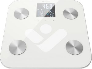 TrueLife TrueLife FitScale W6 BT 3