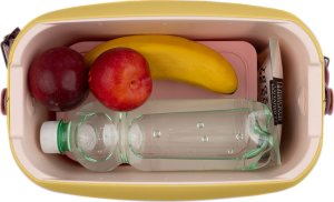 Lodówka turystyczna Polarbox Cooler box 01.06CB-YE / Yellow-Rosa Baby 6L Yellow 11