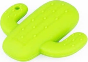 Dumel Grzechotka kaktus 3