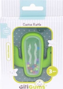 Dumel Grzechotka kaktus 4