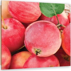 Feeby Obraz Deco Panel, Jabłko makro (Rozmiar 40x40) 1