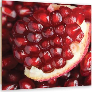 Feeby Obraz Deco Panel, Granat makro (Rozmiar 60x60) 1
