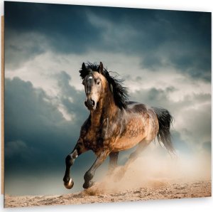 Feeby Obraz Deco Panel, Galop konia (Rozmiar 40x40) 1