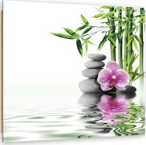 Feeby Obraz Deco Panel, Ogród wodny zen (Rozmiar 30x30) 1