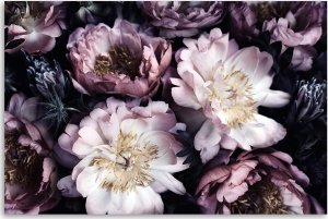 Feeby Obraz Deco Panel, Bukiet Kwiatów Ogród Vintage (Rozmiar 60x40) 3