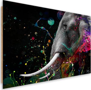 Feeby Obraz Deco Panel, Słoń afrykański abstrakcja (Rozmiar 120x80) 1