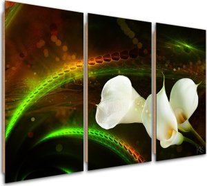 Feeby Obraz trzyczęściowy Deco Panel, White flower on brown background (Rozmiar 150x100) 1