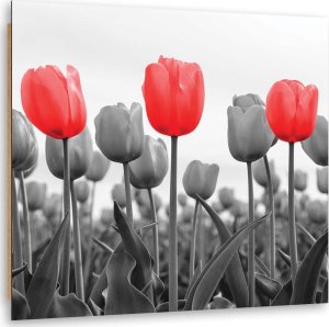 Feeby Obraz Deco Panel, Czerwone tulipany na łące (Rozmiar 30x30) 1