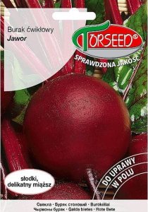 Torseed Nasiona Burak ćwikłowy Jawor 10g 1