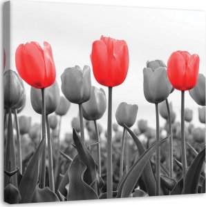 Feeby Obraz na płótnie, Czerwone tulipany na łące (Rozmiar 40x40) 1