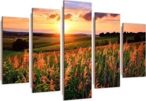 Feeby Obraz pięcioczęściowy Deco Panel, Zachód słońca nad łąką (Rozmiar 150x100) 1