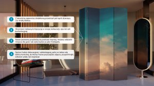 Feeby Parawan dwustronny, Zdjęcie satelitarne (Rozmiar 180x170) 8