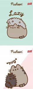 St. Majewski St.right plecak szkolny pusheen zestaw klasa 1-3 pastel 10w1 9