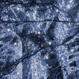 Lampki choinkowe Springos Lampki choinkowe 300 led biały zimny + flash 15m oświetlenie świąteczne IP44 UNIWERSALNY 5