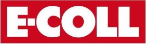 E-coll Cynkowa farba proszkowa w puszce 800 g EE 2