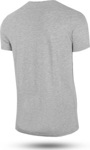 4f Koszulka męska M0876 4F XXXL 3