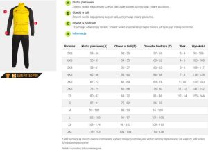 Joma KOMPLET DRES BLUZA SPODNIE JOMA 101966.151 ACADEMY 4