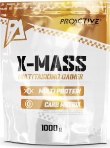 ProActive PROACTIVE X-MASS GAINER 1000G - Truskawka 1