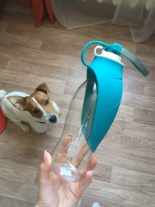 Irodori Vet Przenośna butelka na wodę dla zwierząt liść 580ml Irodori Vet 6