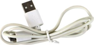 LeanToys Lampka Jajko Dinozaur Pterozaur LED Micro USB 5