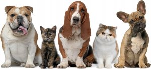 Triton VETOS FARMA Aurum-0 200ml 2